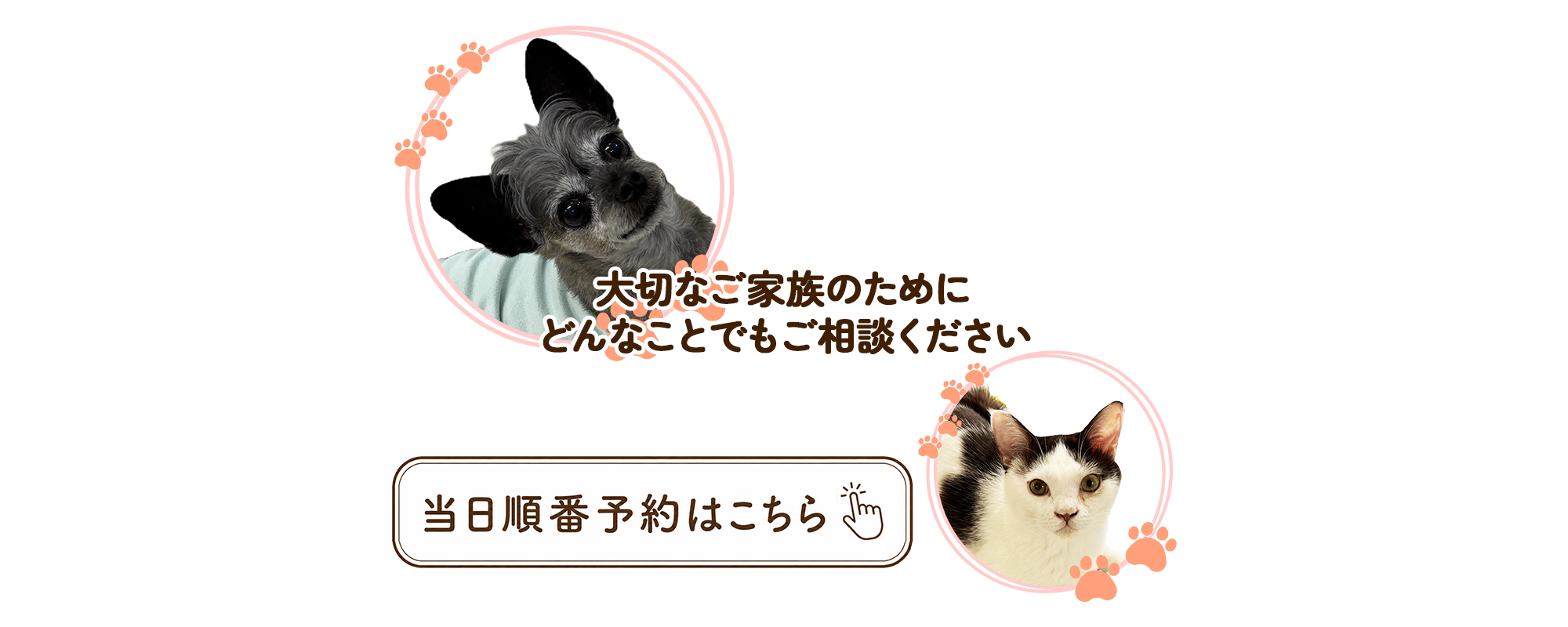 当日順番予約はこちらから