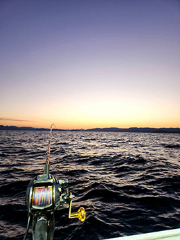 ご予約について