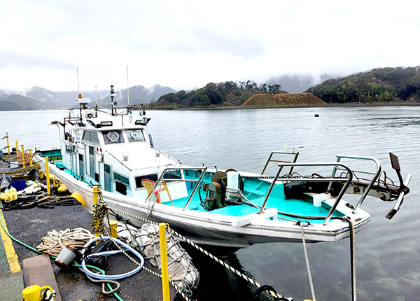 ようこそ、Sea Dreamへ!