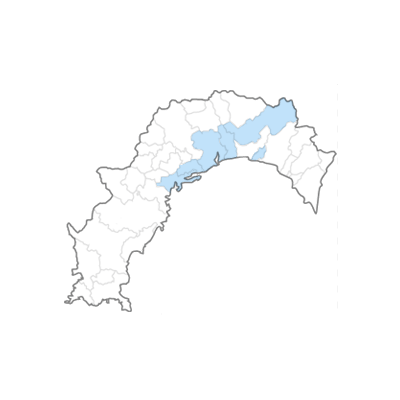 高知