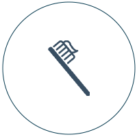 icon02