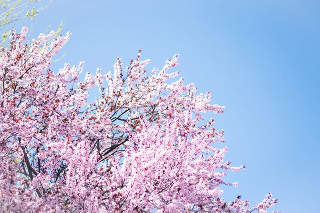 blog02
