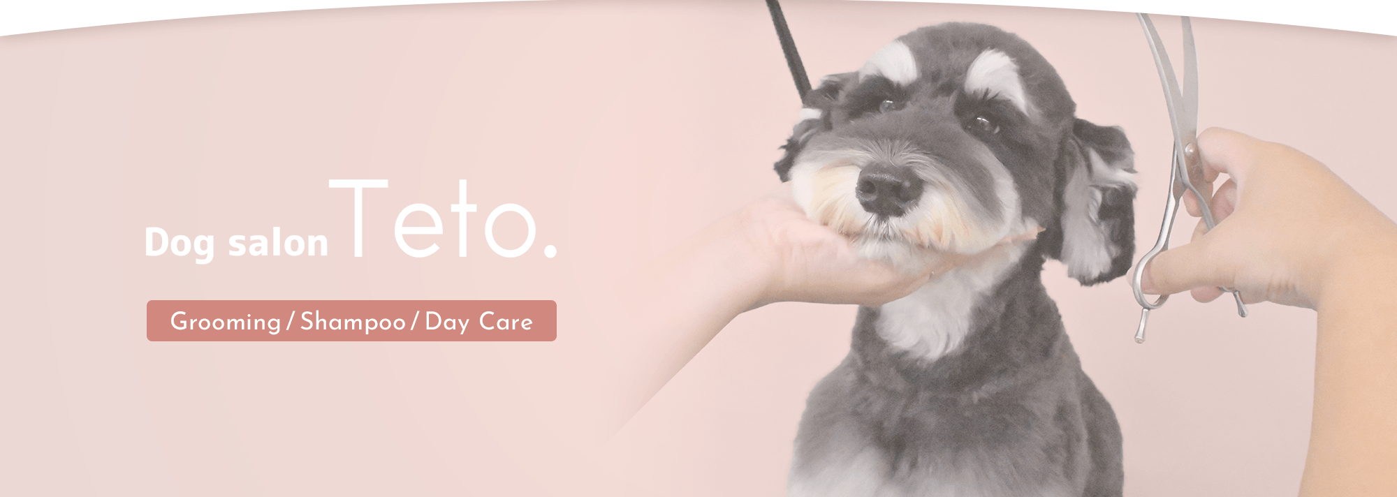 Dog Salon Teto.｜トリミング・シャンプー・一時お預かり