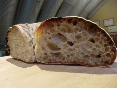 初種酵母パン3