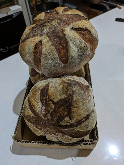 セルバッジオカンパーニュ