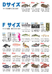 202608D・F